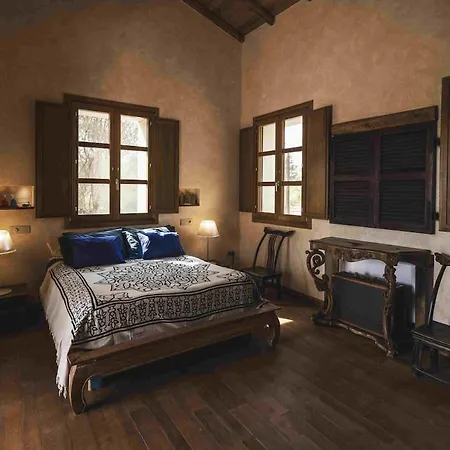 Luxury Country The Olive Grove