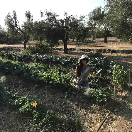 Villa Luxury Country The Olive Grove