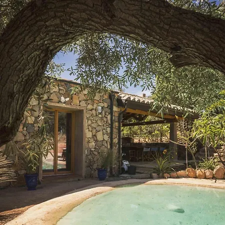 Luxury Country The Olive Grove *