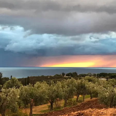 Luxury Country The Olive Grove Capitana
