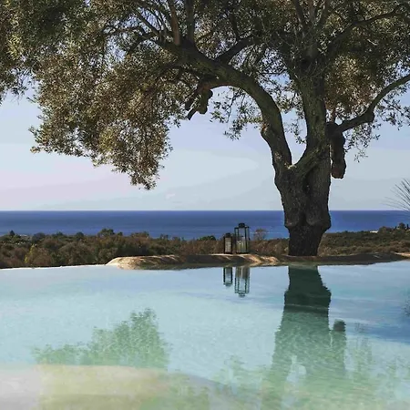 Luxury Country The Olive Grove Капитана