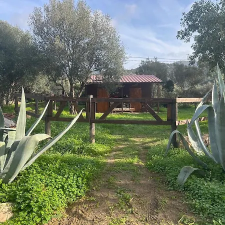 Luxury Country The Olive Grove