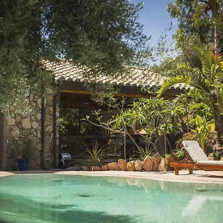Luxury Country The Olive Grove