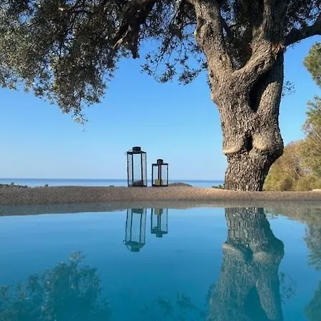 Luxury Country The Olive Grove *