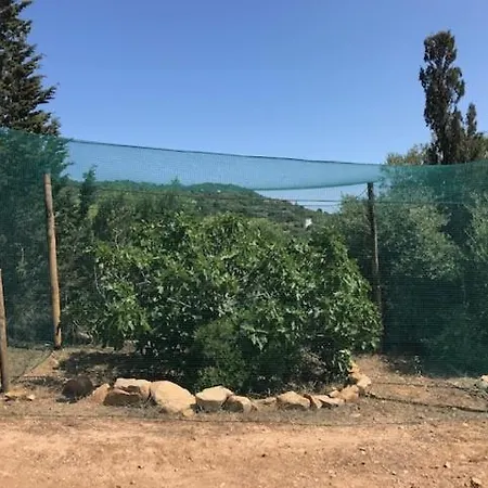 Вилла Luxury Country The Olive Grove Капитана
