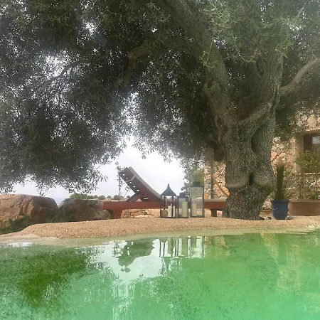 Villa Luxury Country The Olive Grove