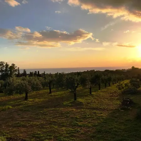 Villa Luxury Country The Olive Grove *