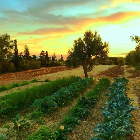 Villa Luxury Country The Olive Grove *