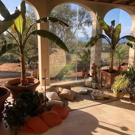 Luxury Country The Olive Grove Villa