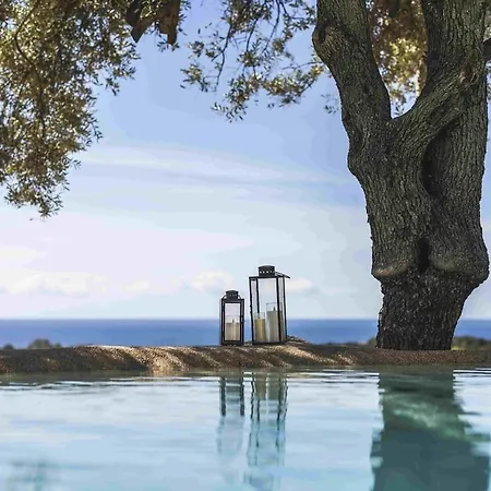 Luxury Country The Olive Grove Villa Capitana