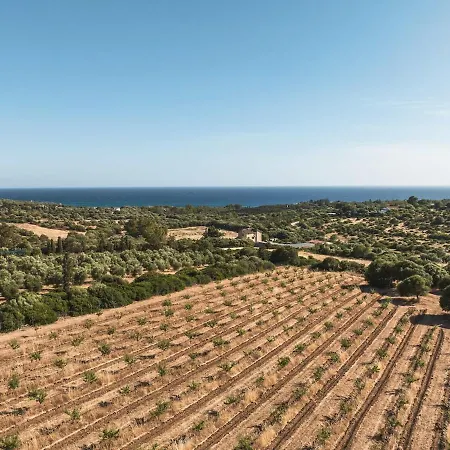 Luxury Country The Olive Grove Villa