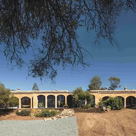 Luxury Country The Olive Grove Capitana