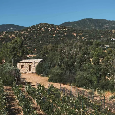 Luxury Country The Olive Grove * Капитана