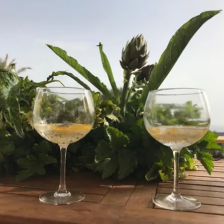 Luxury Country The Olive Grove Капитана