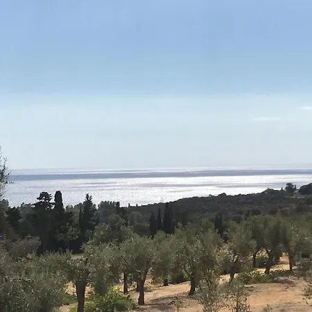 Luxury Country The Olive Grove Capitana