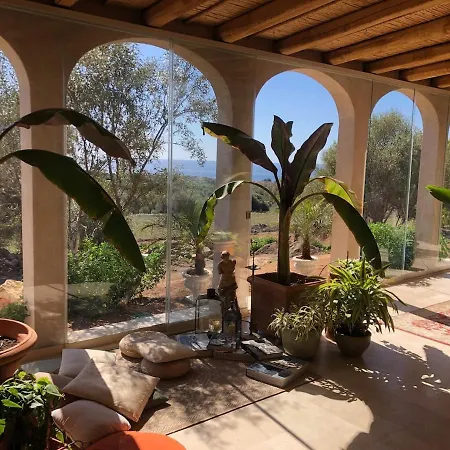 Luxury Country The Olive Grove Вилла