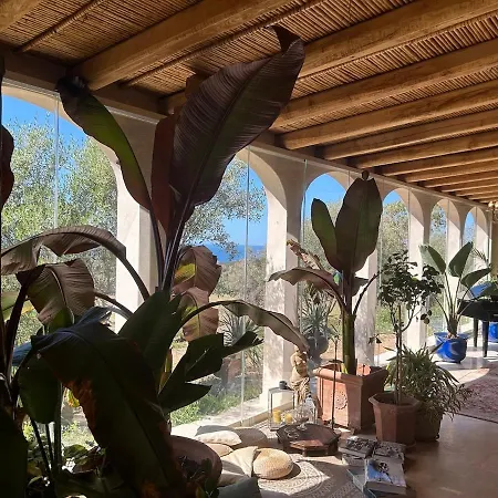 Luxury Country The Olive Grove