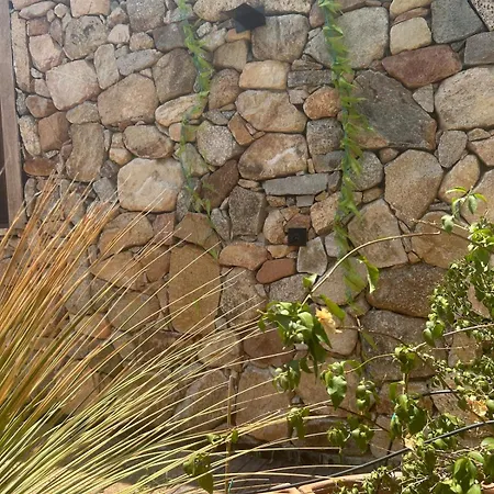 Villa Luxury Country The Olive Grove