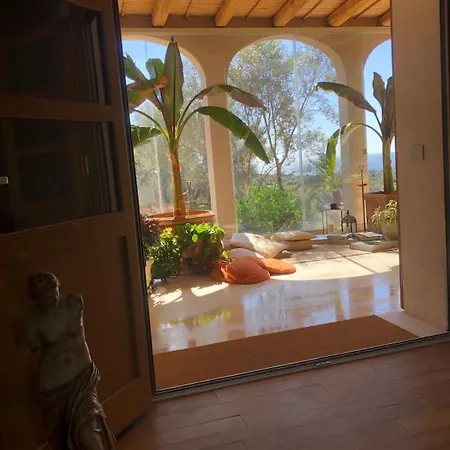 Luxury Country The Olive Grove