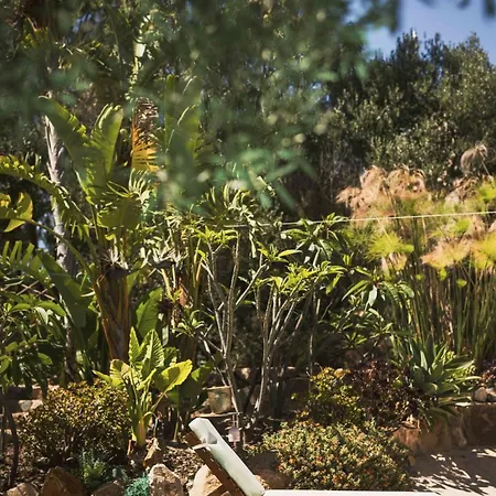 Luxury Country The Olive Grove Villa *